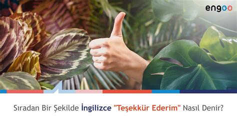 ingilizcede teşekkür ederim karşılığında ne denir